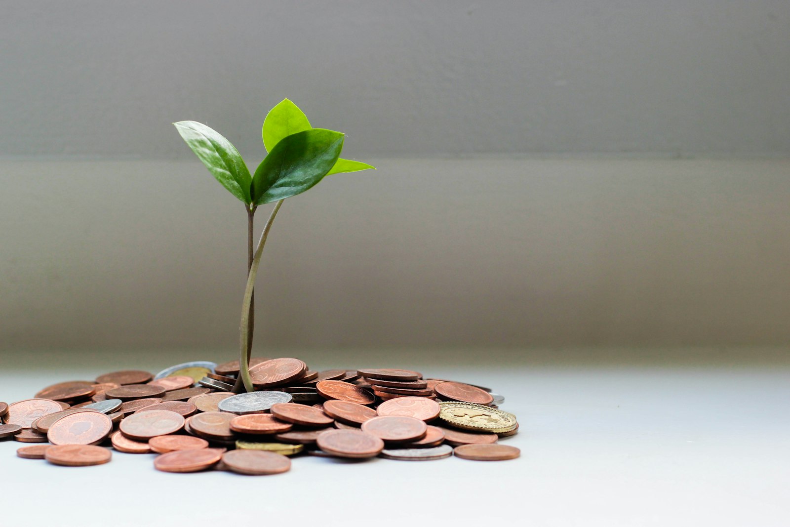 Where My Money Actually Goes — A Brutally Honest Category Breakdown