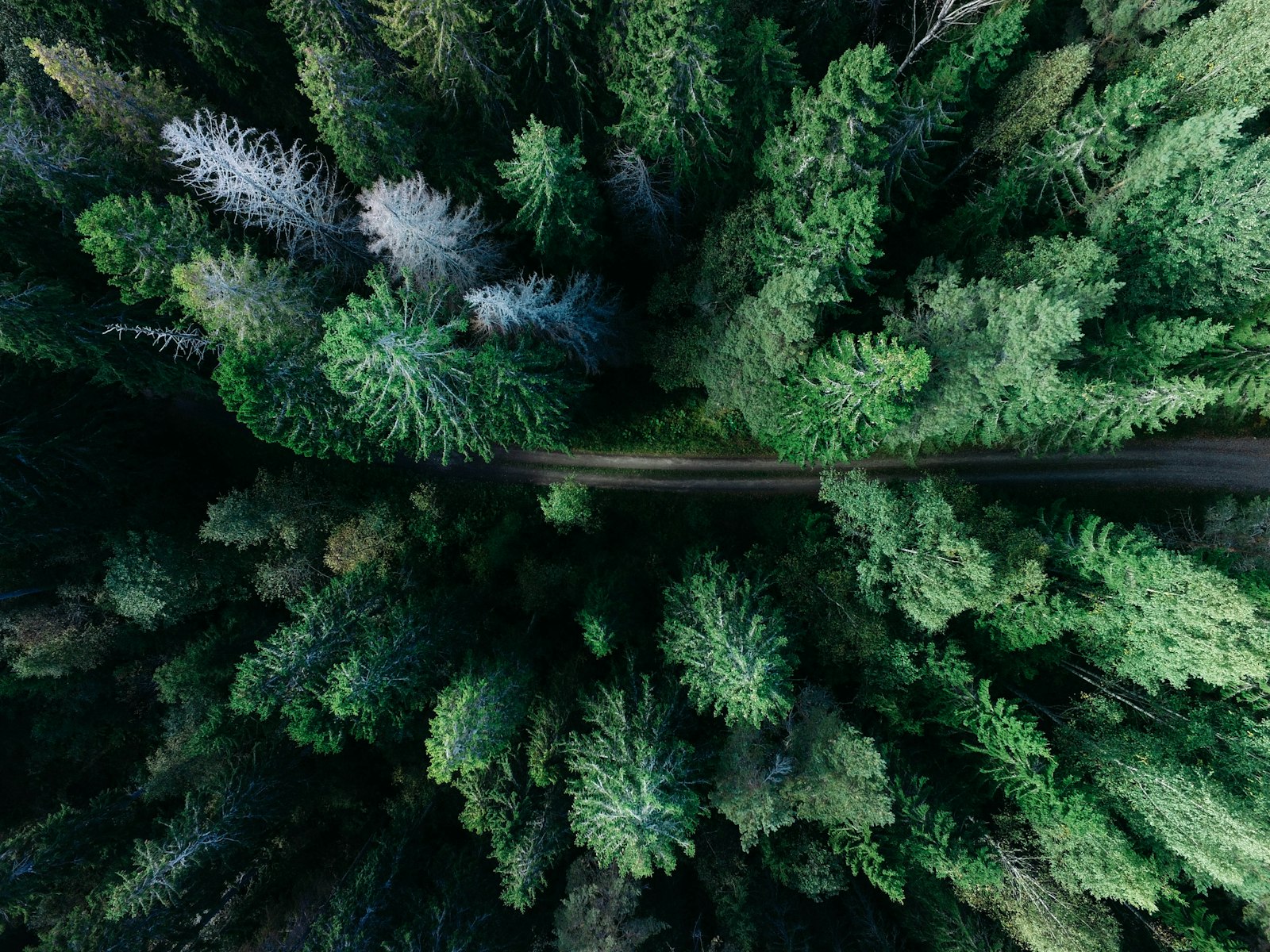 Why I Stopped Tracking Every Penny (And Started Saving More)